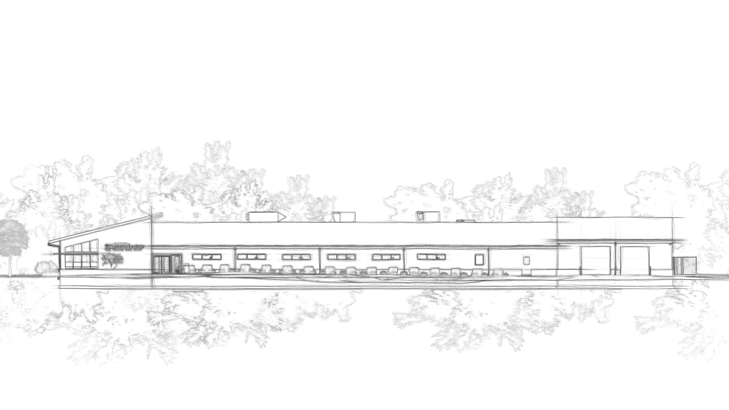 Humane Society Sketches Humane Society Sketches, Architectural Sketch