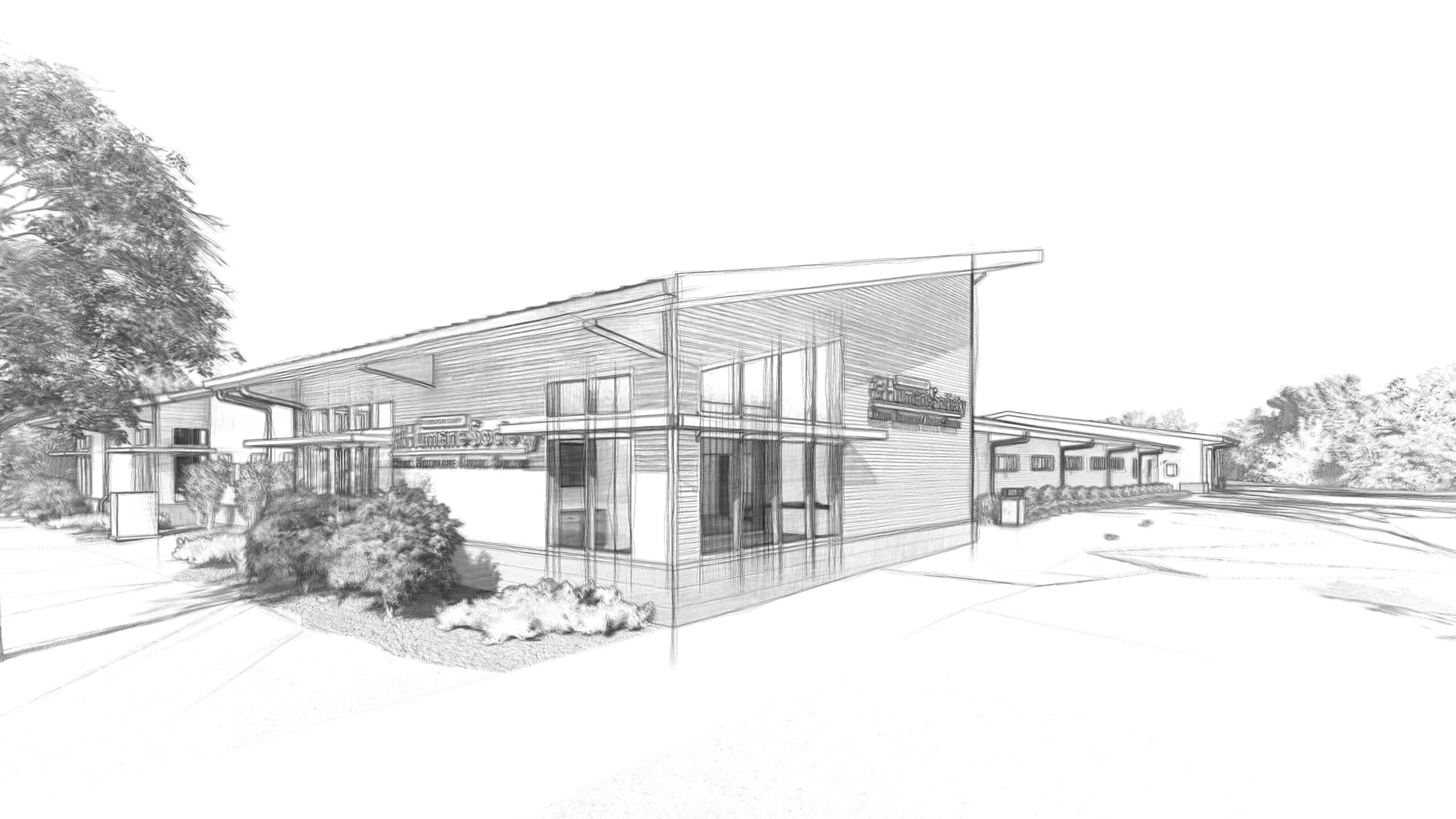 HumaneSociety Sketches 2 Humane Society Sketches, Architectural Sketch