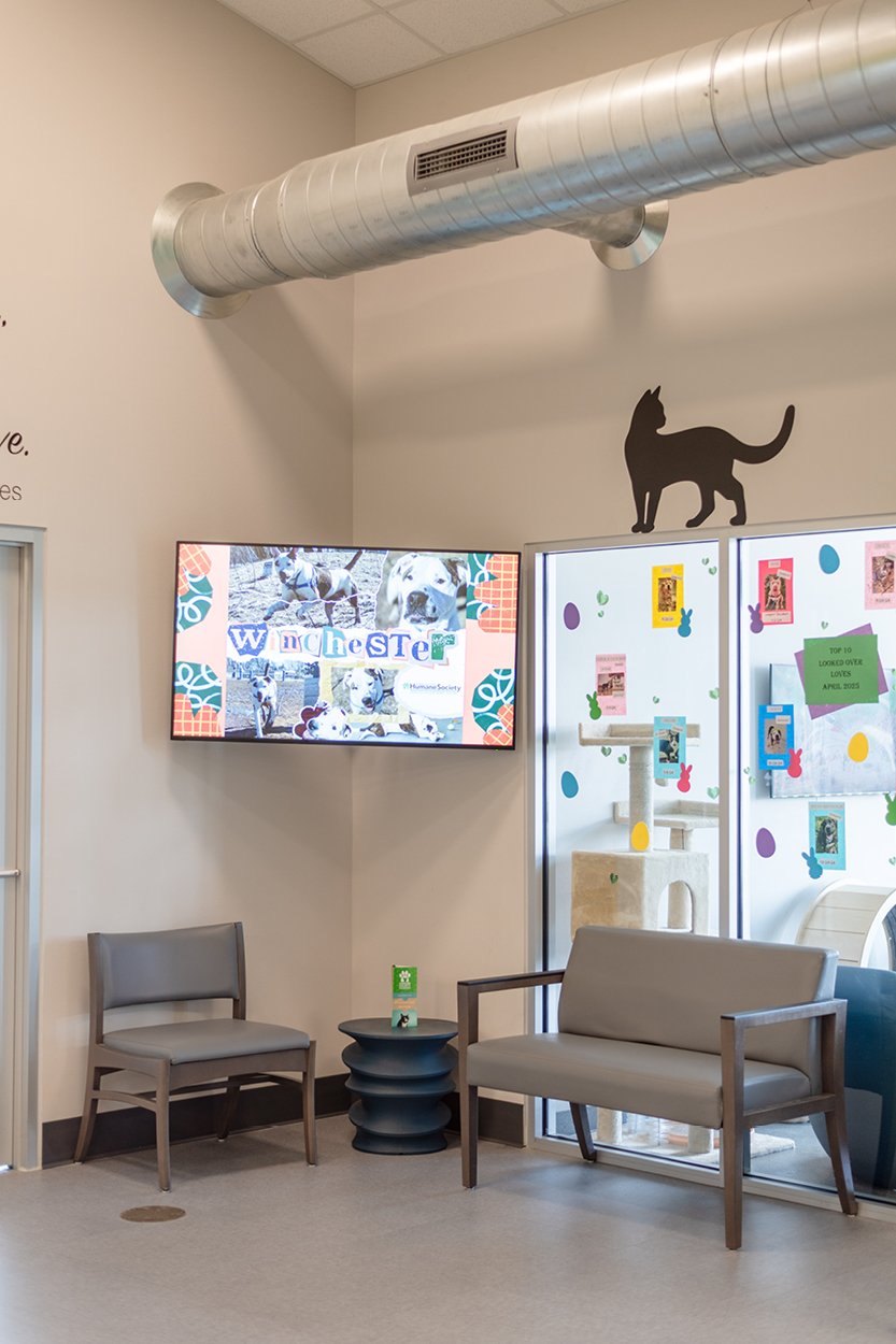 humanesocietygallery12 Animal Adoption Clinic, Wisconsin Commercial Architects