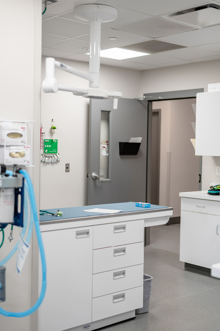 humanesocietygallery3 Veterinarian Clinic in Sheboygan, Commercial Architects Wisconsin