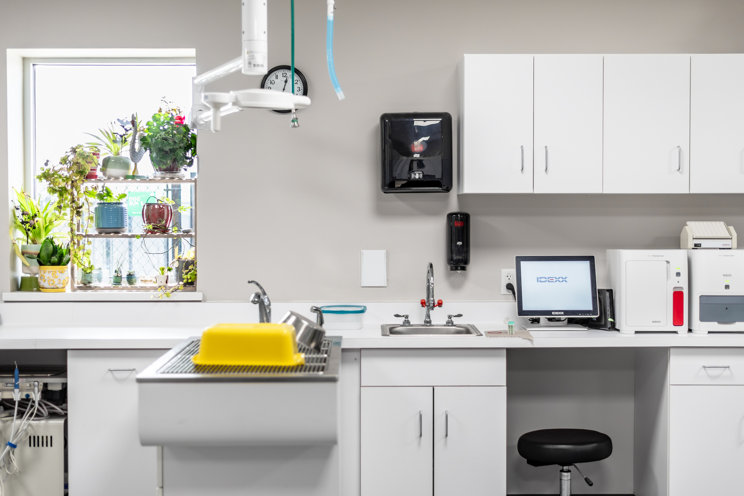 humanesocietygallery4 Veterinarian Clinic in Sheboygan, Commercial Architects Wisconsin