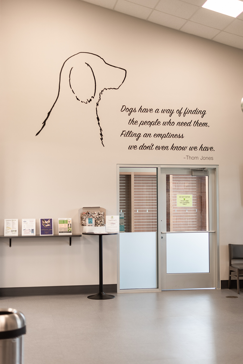 humanesocietygallery7 Animal Shelter, Sheboygan County Architects